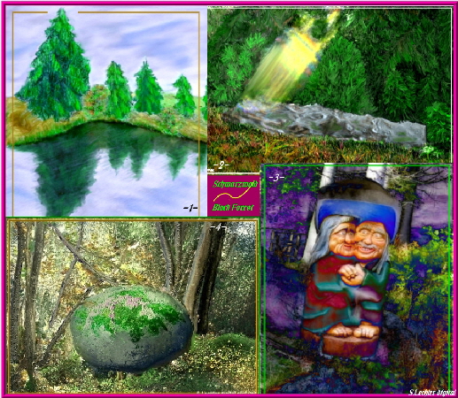 schwarzwald2 schwarzwald2